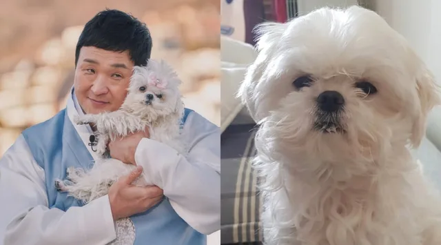 เศร้าใจ! สุนัขสุดรักของ Koo Sung Hwan ข้ามสะพานสายรุ้งแล้ว 💔
