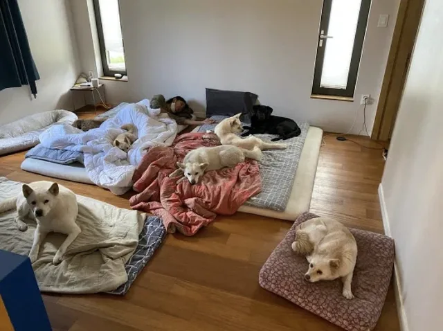 ลี ฮโยรี เจอปัญหาหลังแชร์ภาพบ้านสุดชิลกับน้องหมา 🐶
