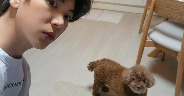 Coco สุนัขของ Lee Joo Seung เสียชีวิตแล้ว