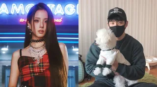 ข้อกล่าวหาทำร้ายร่างกายต่อ CEO คิม จอง ฮุน พี่ชายของจิสoo BLACKPINK