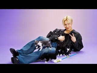Taemin SHINee อวดความรู้เรื่องแมวเหมียวใน 'The Kitten Interview'