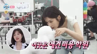 Joy วง Red Velvet เตรียมตัวสำหรับอนาคตอันสดใส! ลุยสอบใบอนุญาตช่างตัดขนสัตว์เลี้ยง “ถ้าทำงานนี้ไม่ได้ ก็ต้องมีวิชาชีพติดตัวไว้”
