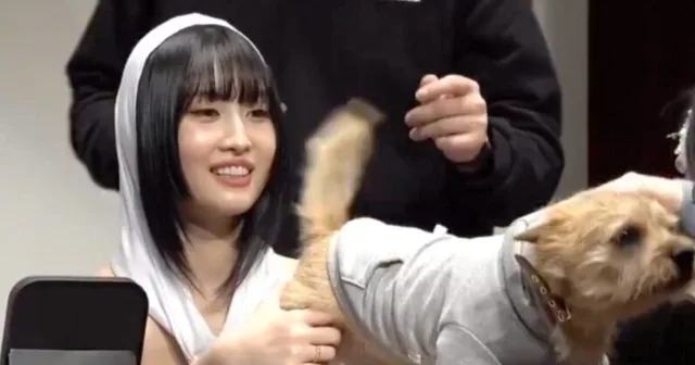แฟนคลับในคลิปไวรัลของ Momo วง TWICE ออกมาชี้แจงประเด็นดราม่า