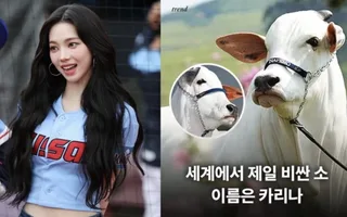 Karina วง aespa สุดภูมิใจ! หลังเจอวัวชื่อดังระดับโลกชื่อเหมือนตัวเอง
