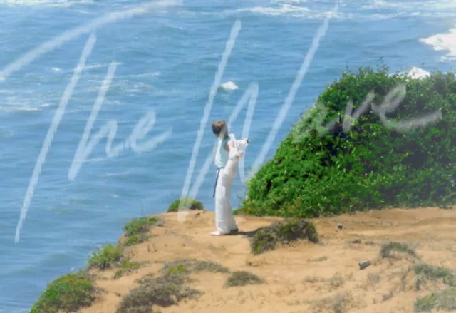 Kim Jae Joong ปล่อยทีเซอร์แรกของซิงเกิลอัลบั้มใหม่ 'The Wave' สุดสดชื่น