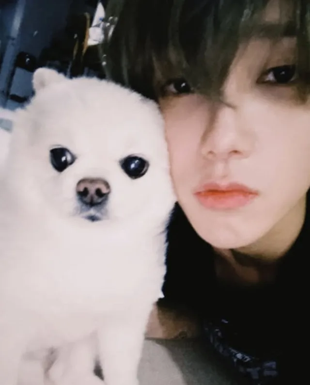 Yesung Super Junior เขียนจดหมายถึงน้องหมา Melo ผู้ล่วงลับ ครบรอบ 1 ปีที่จากไป
